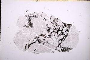 Plane Polarized, E11812