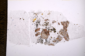Plane Polarized, E11815