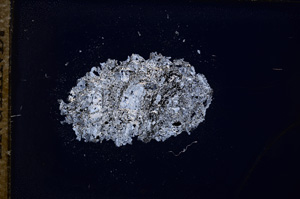 Cross Polarized, E11855