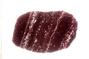 Plane Polarized, E11885