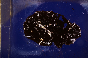 Cross Polarized, E11886