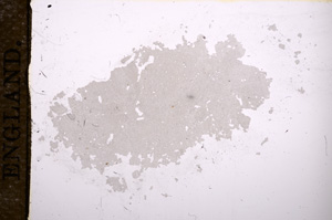 Plane Polarized, E11925