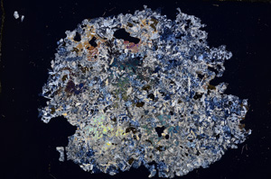 Cross Polarized, E11949