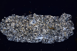 Cross Polarized, E11951