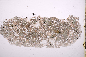 Plane Polarized, E11951