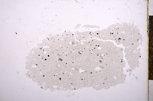 Plane Polarized, E11969