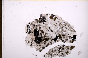 Plane Polarized, E11977