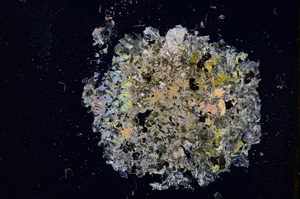 Cross Polarized, E11979