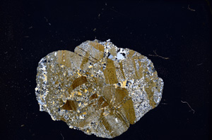 Cross Polarized, E12008