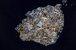 Cross Polarized, E12016