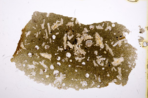 Plane Polarized, E12028