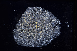 Cross Polarized, E12031