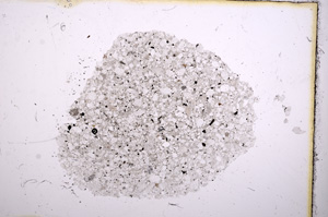 Plane Polarized, E12031