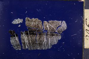 Cross Polarized, E12043