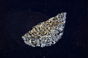 Cross Polarized, E12045