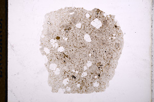 Plane Polarized, E12049