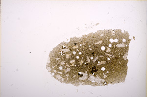 Plane Polarized, E12078