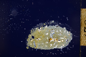 Cross Polarized, E12081