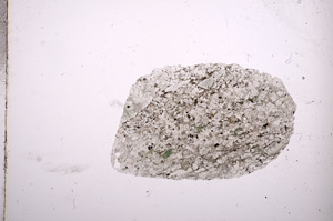 Plane Polarized, E12091