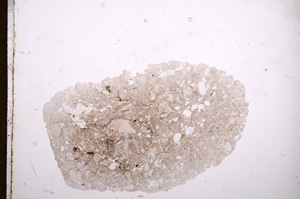 Plane Polarized, E12096