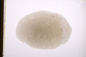 Plane Polarized, E12104