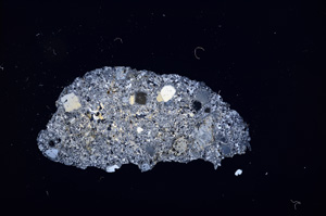 Cross Polarized, E12105