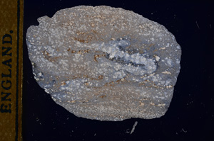 Cross Polarized, E12111