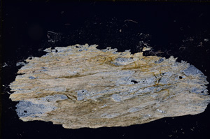 Cross Polarized, E12136