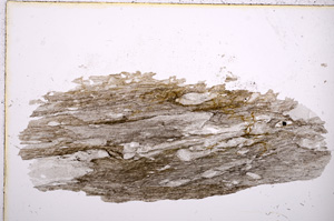 Plane Polarized, E12136