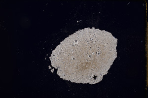 Cross Polarized, E12149