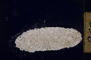 Cross Polarized, E12150