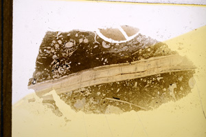 Plane Polarized, E12159