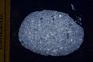 Cross Polarized, E12162