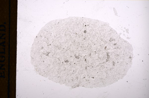 Plane Polarized, E12162