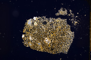 Cross Polarized, E12173