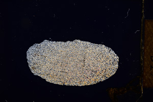 Cross Polarized, E12180