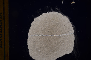 Cross Polarized, E12185