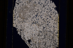Cross Polarized, E12188