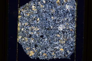 Cross Polarized, E12195