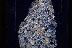 Cross Polarized, E12197