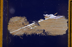 Cross Polarized, E12220