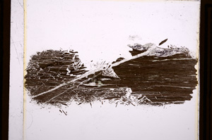 Plane Polarized, E12220