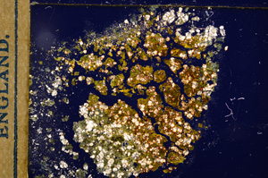 Cross Polarized, E12270