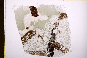 Plane Polarized, E12278