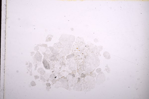 Plane Polarized, E12282