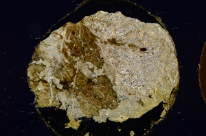 Cross Polarized, E12297