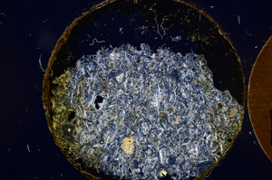 Cross Polarized, E12311