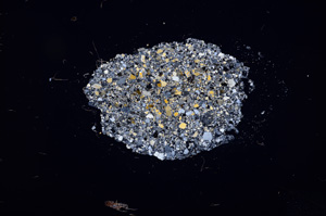 Cross Polarized, E12361