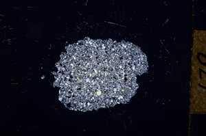 Cross Polarized, E12377