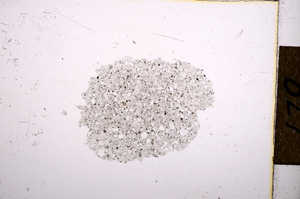 Plane Polarized, E12377